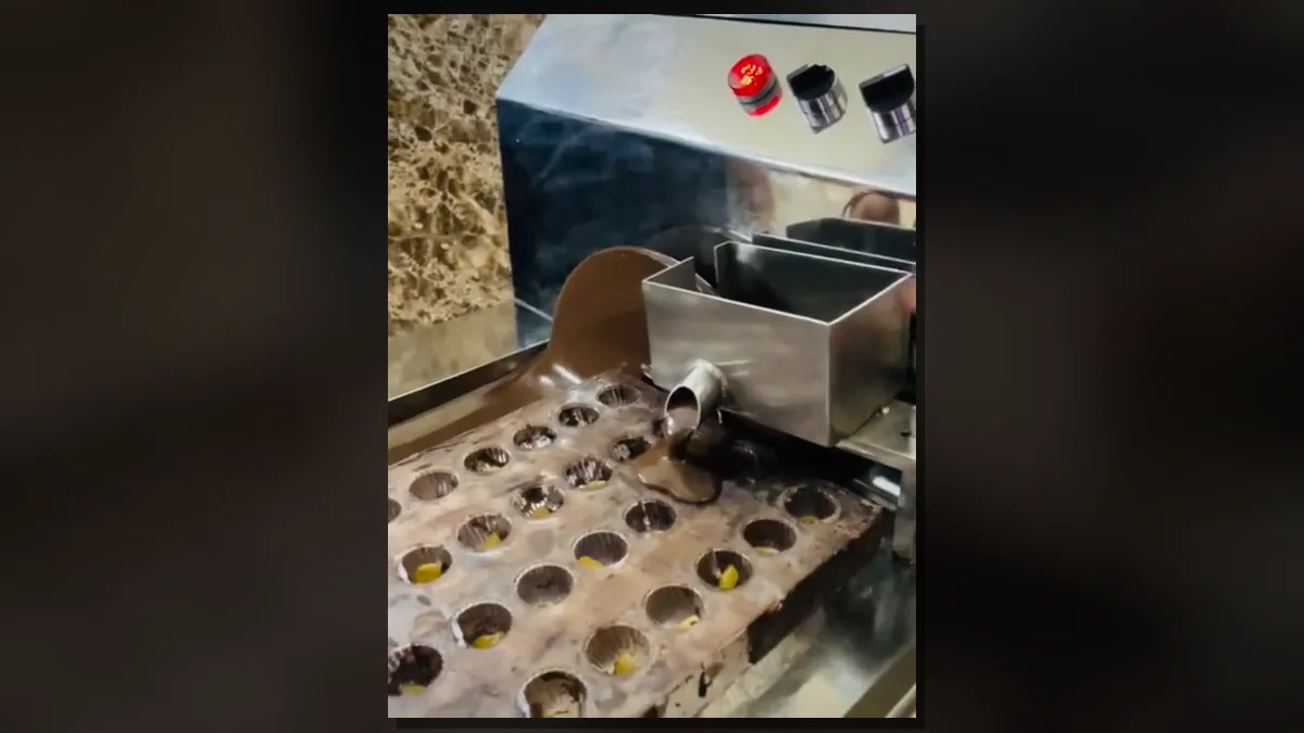 Chocolate mould vibrator settling chocolate and releasing trapped air